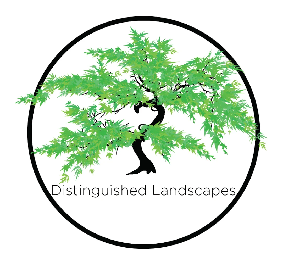 Distinguished Landscapes
